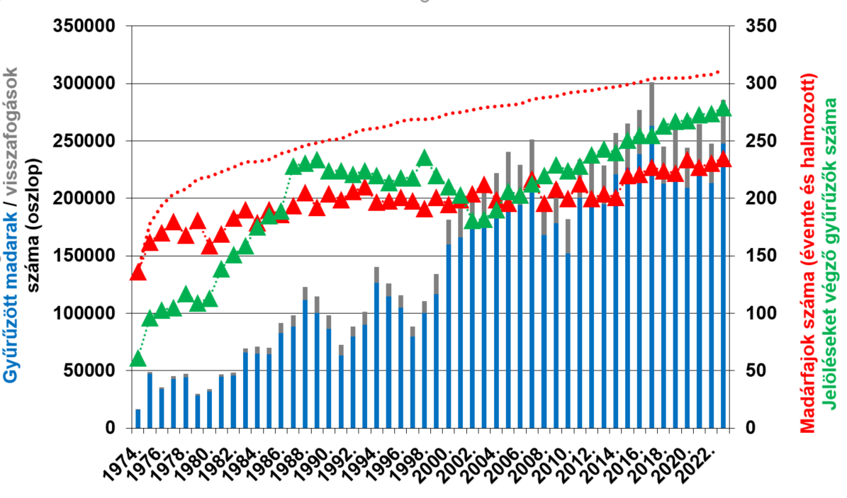 Evente_meggyuruzott_madarak_szama_Magyarorszagon_1974_2023