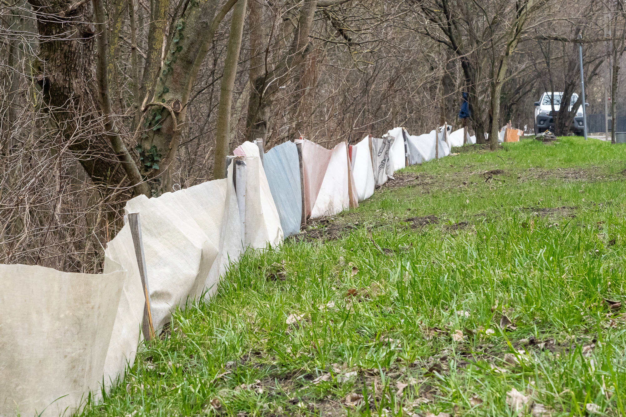 Elkészült a kerítés, jöhetnek a békák (Fotó: Aliczki Manó)