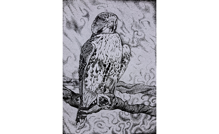 1. helyezett: Kovács Sára (2008)