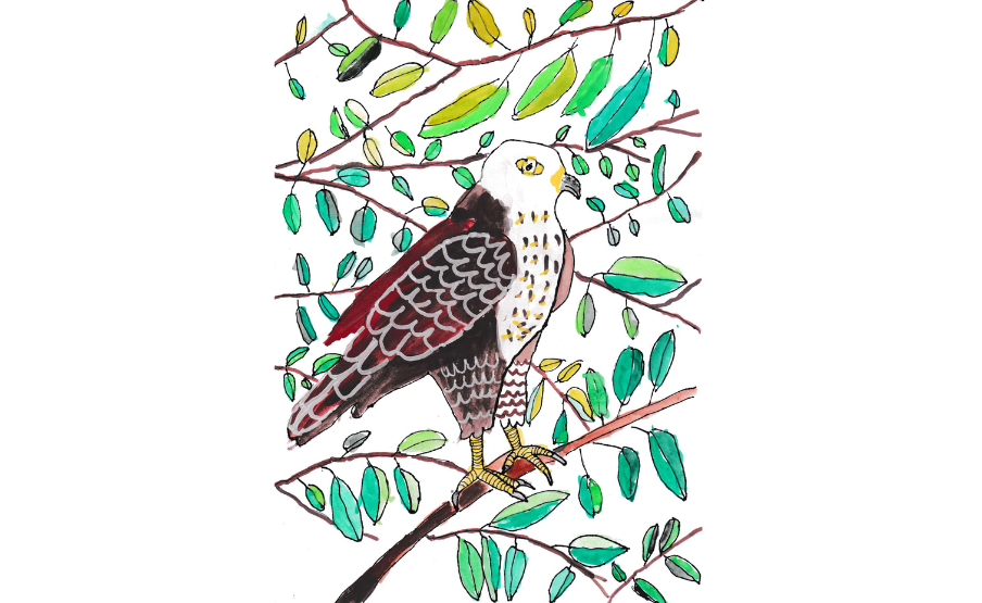 1. helyezett: Horváth Janka (2018)