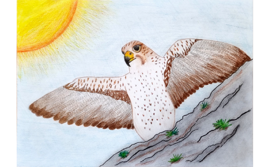 3. helyezett: Kiss Imre (2013)