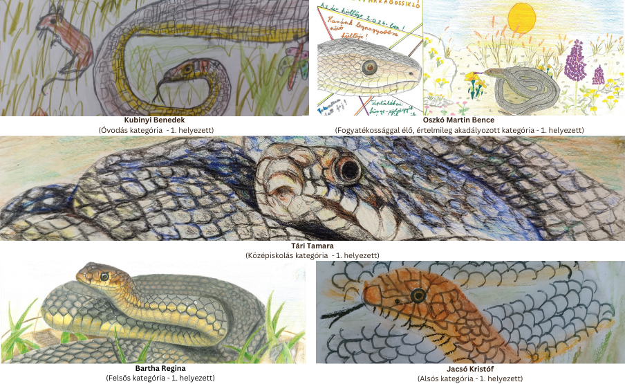 Az egyes kategóriák első helyezettjei