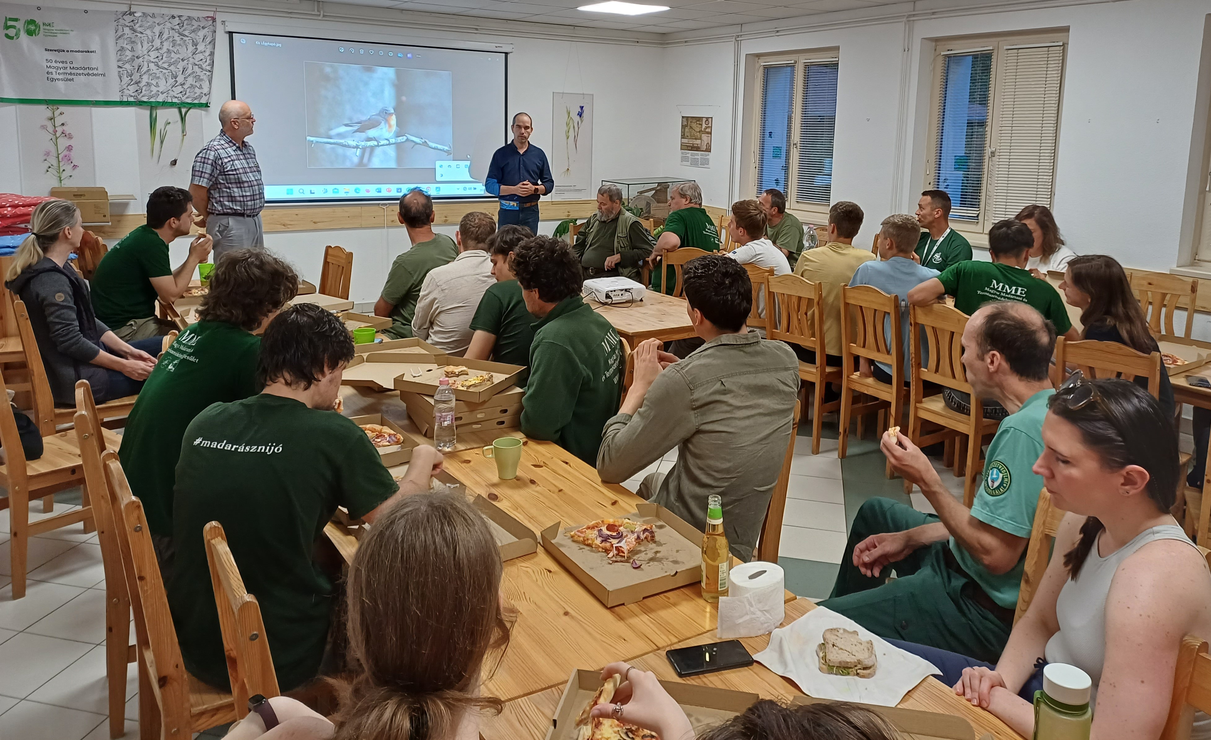 kis légykapó felmérés1