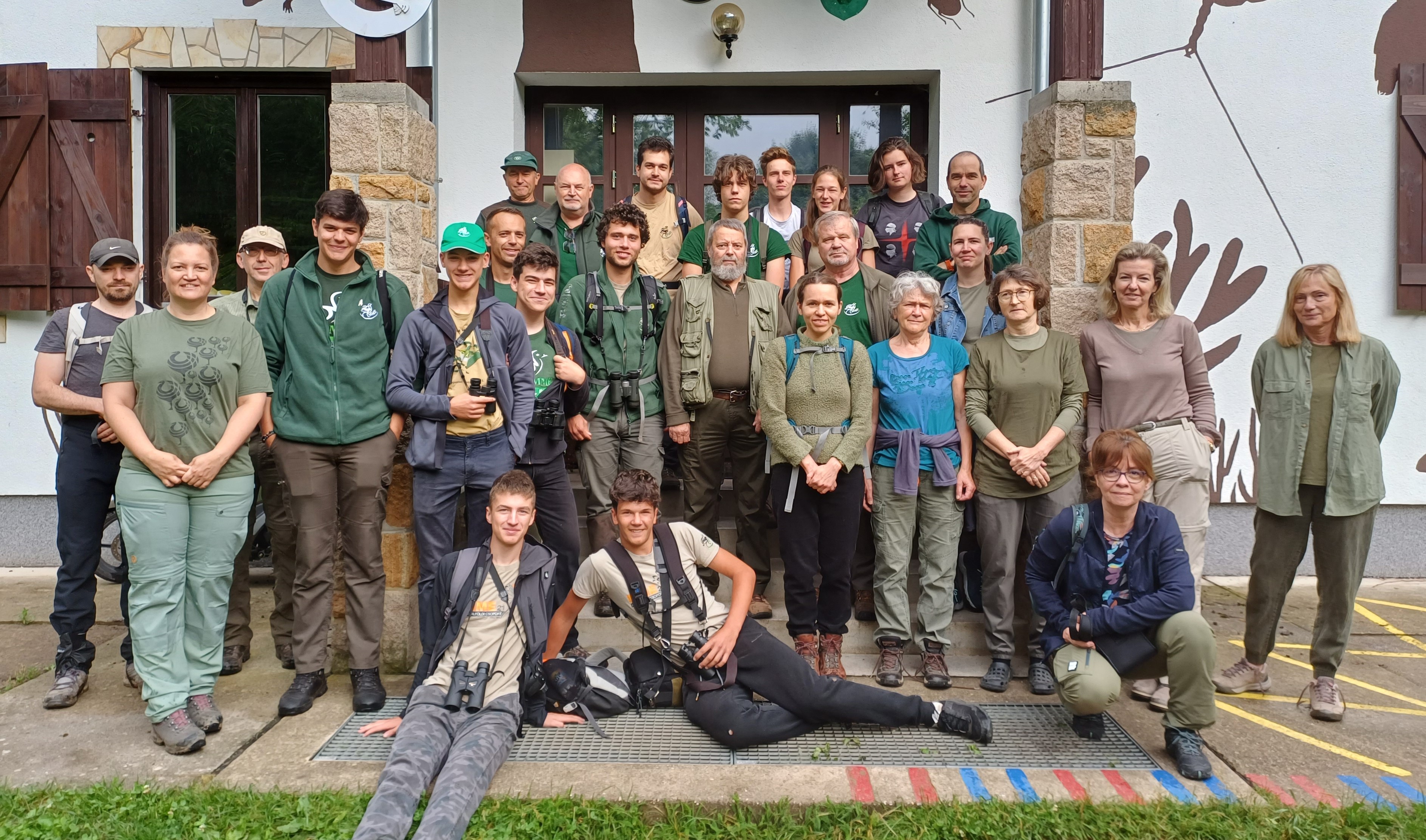 kis légykapó felmérés3