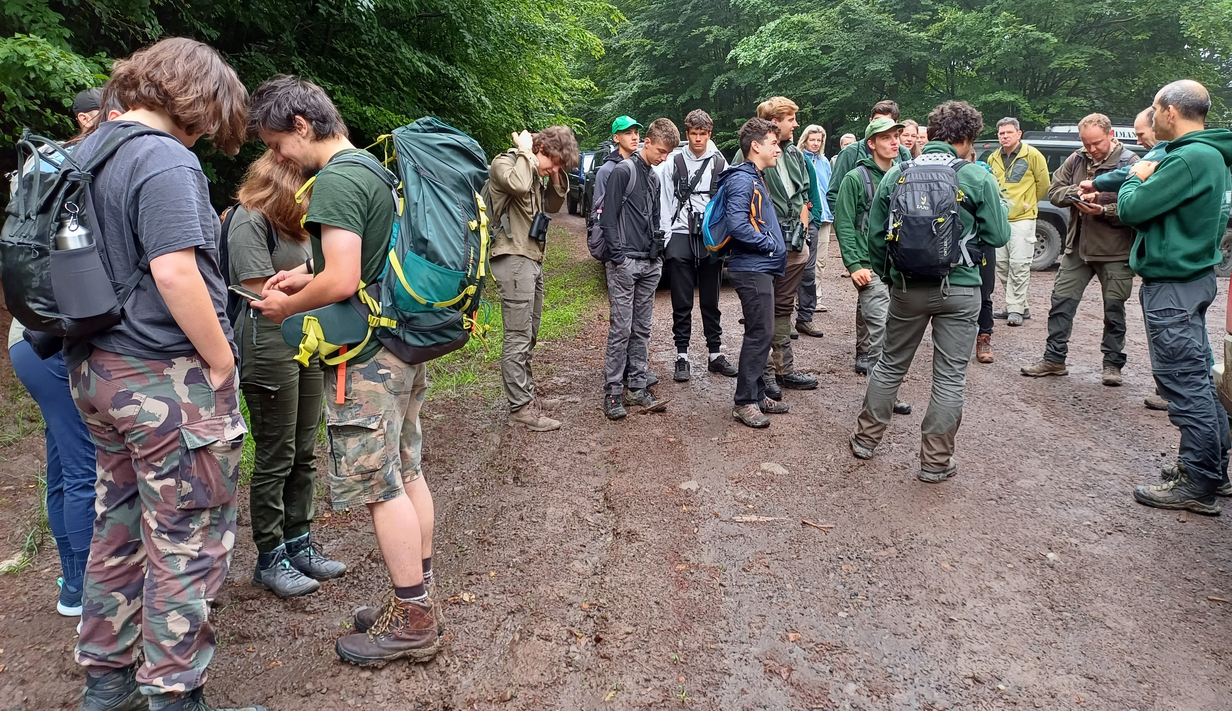 kis légykapó felmérés2