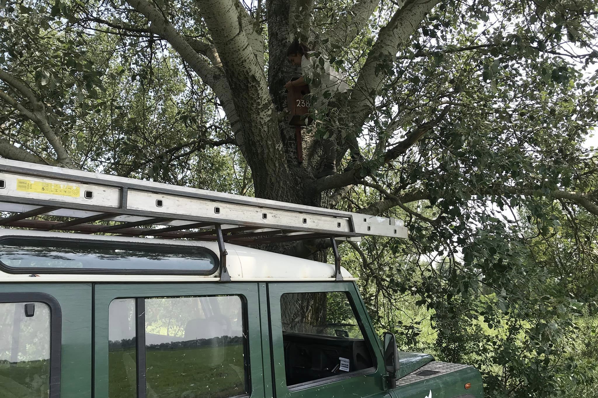 Odúellenőrzés / Fotó: Szitta Tamás