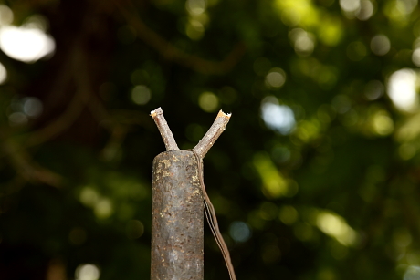 B_odu_rozsalugason_Budapest_2012_Orban_Zoltan_0005.JP