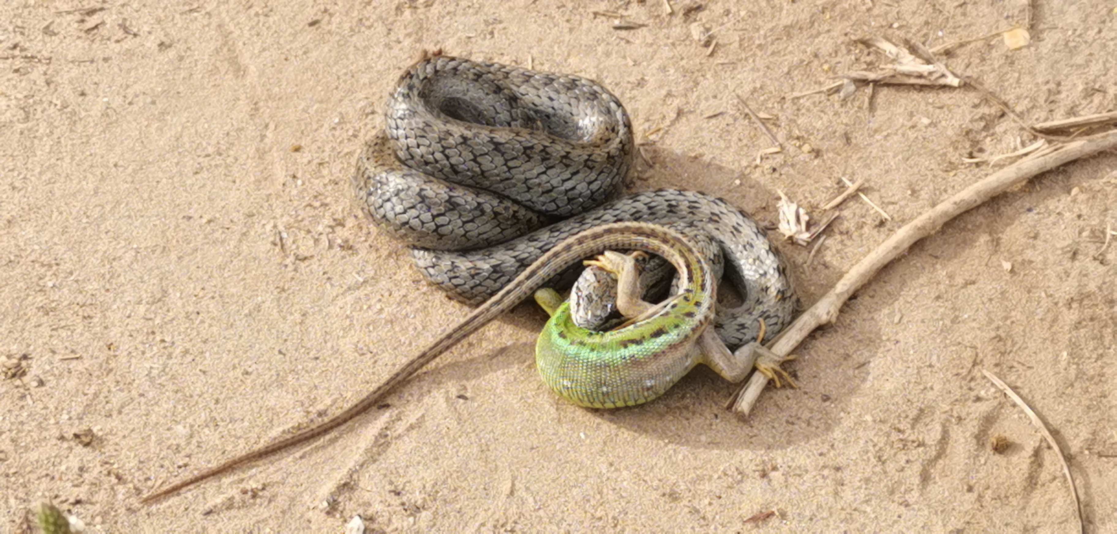 Fotó: Jármay Katalin