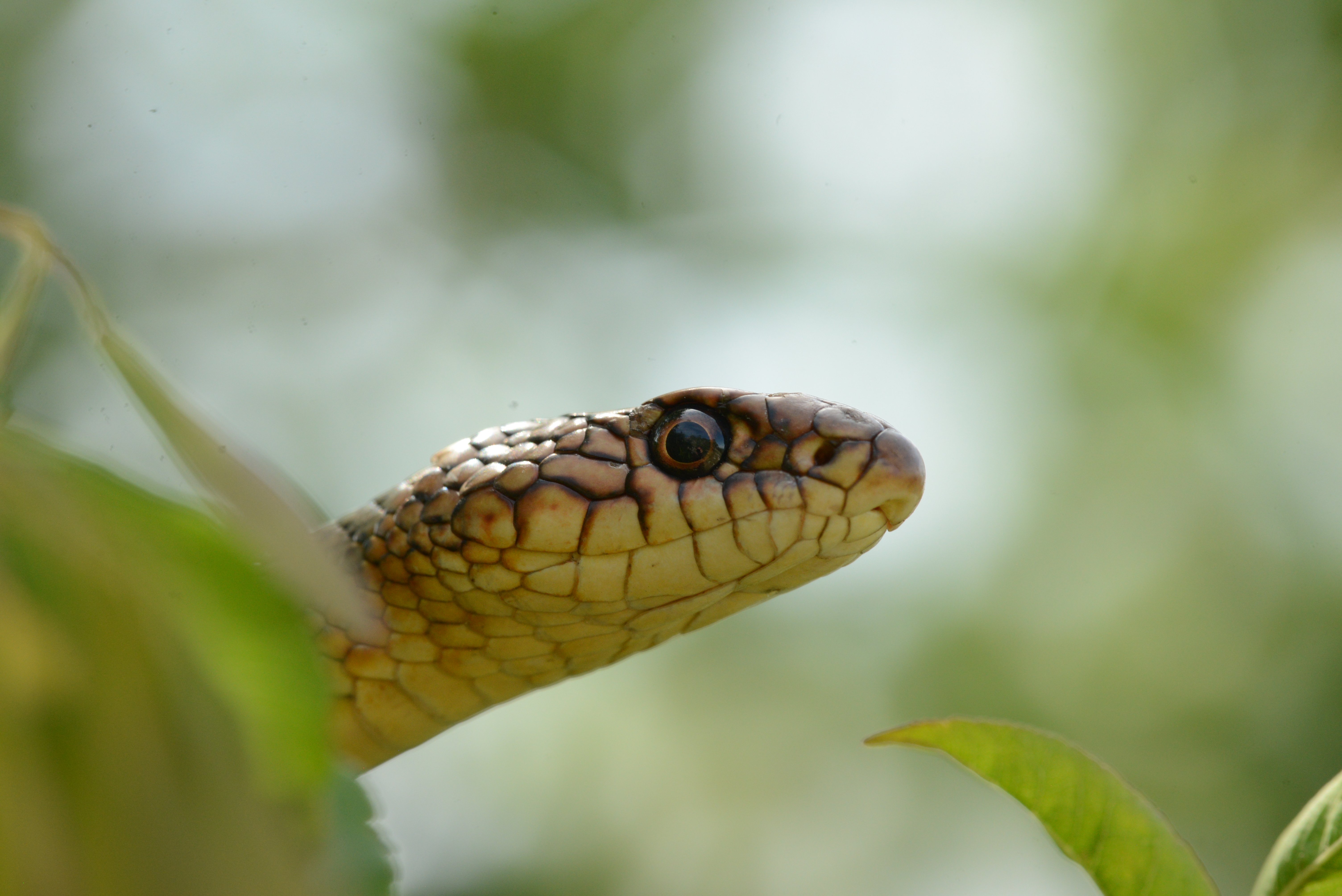 Fotó: Wenner Bálint