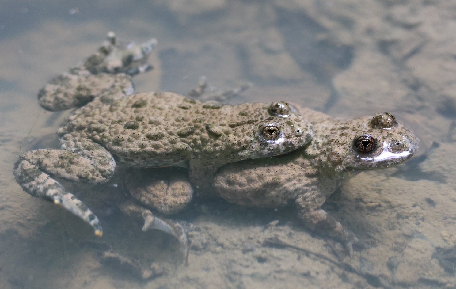 Fotó: Horváth Balázs