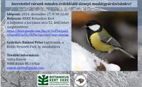 Madárkarácsony Egerben