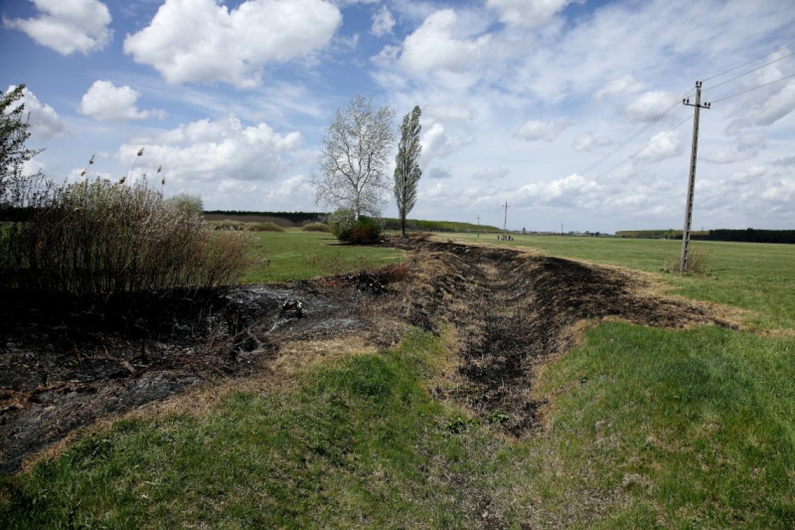 Éppen azért az ilyenkor végzett, különösen a nagy kiterjedésű bokor- és fakivágások,valamint a kísérő munkálatok, például a faanyag kihordása, minden esetben és biztosra vehetőenvédett és fokozottan védett állat- és növényfajok tömeges elhullását, sérülését okozza, továbbá az élőhelyüket is károsítja (fotók: Orbán Zoltán)